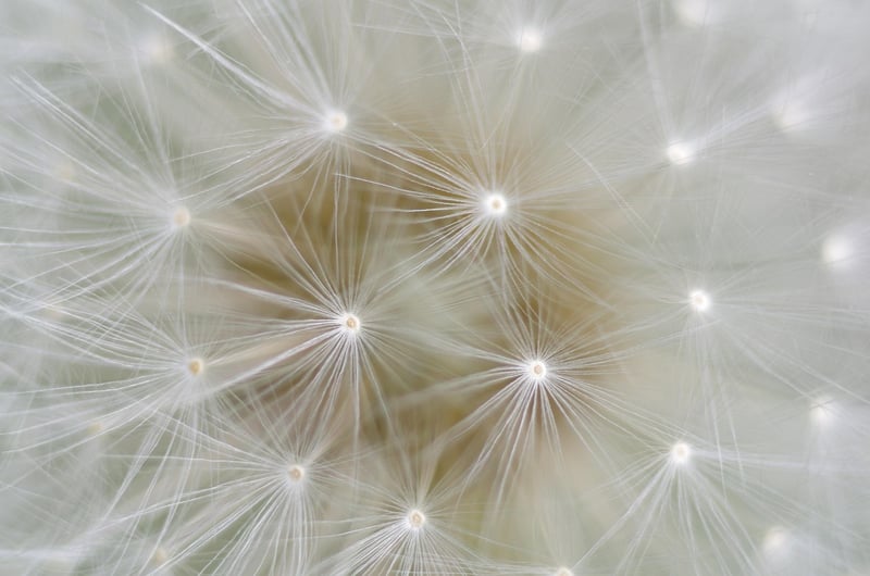 Celestial Wedding Gown